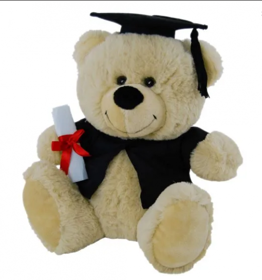 Graduation Teddy Bear 23cm